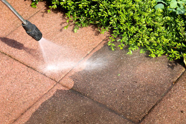  Pine Air, FL Pressure Washing Pros